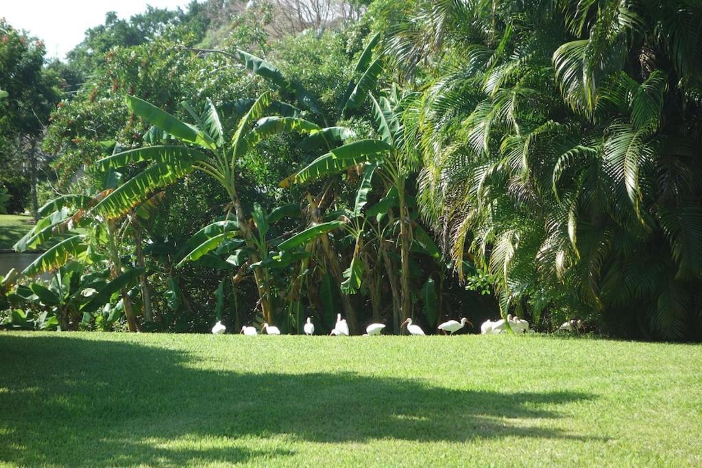 Pool Home With A New Sparkling Pool, Close To Beach, Lovely Lake View North Naples Exteriör bild